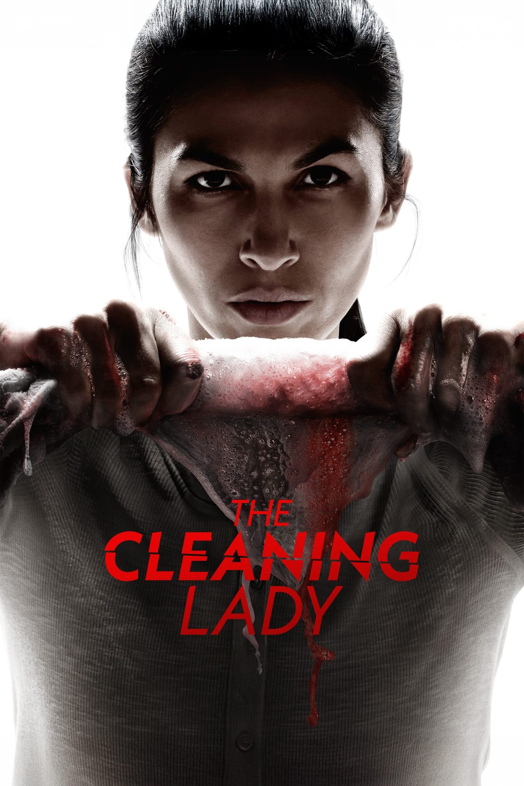 مسلسل The Cleaning Lady الموسم الرابع مترجم