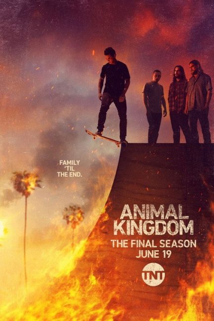 مسلسل Animal Kingdom الموسم السادس الحلقة 3 مترجمة