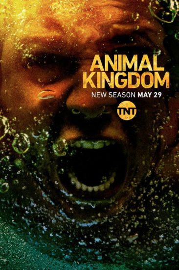مسلسل Animal Kingdom الموسم الثالث الحلقة 4 مترجمة