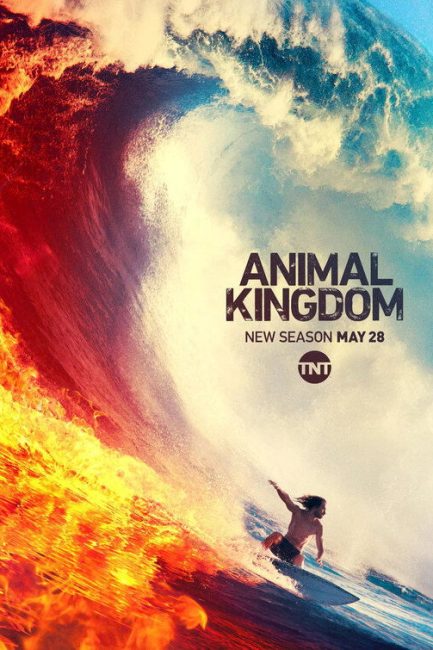 مسلسل Animal Kingdom الموسم الرابع الحلقة 6 مترجمة